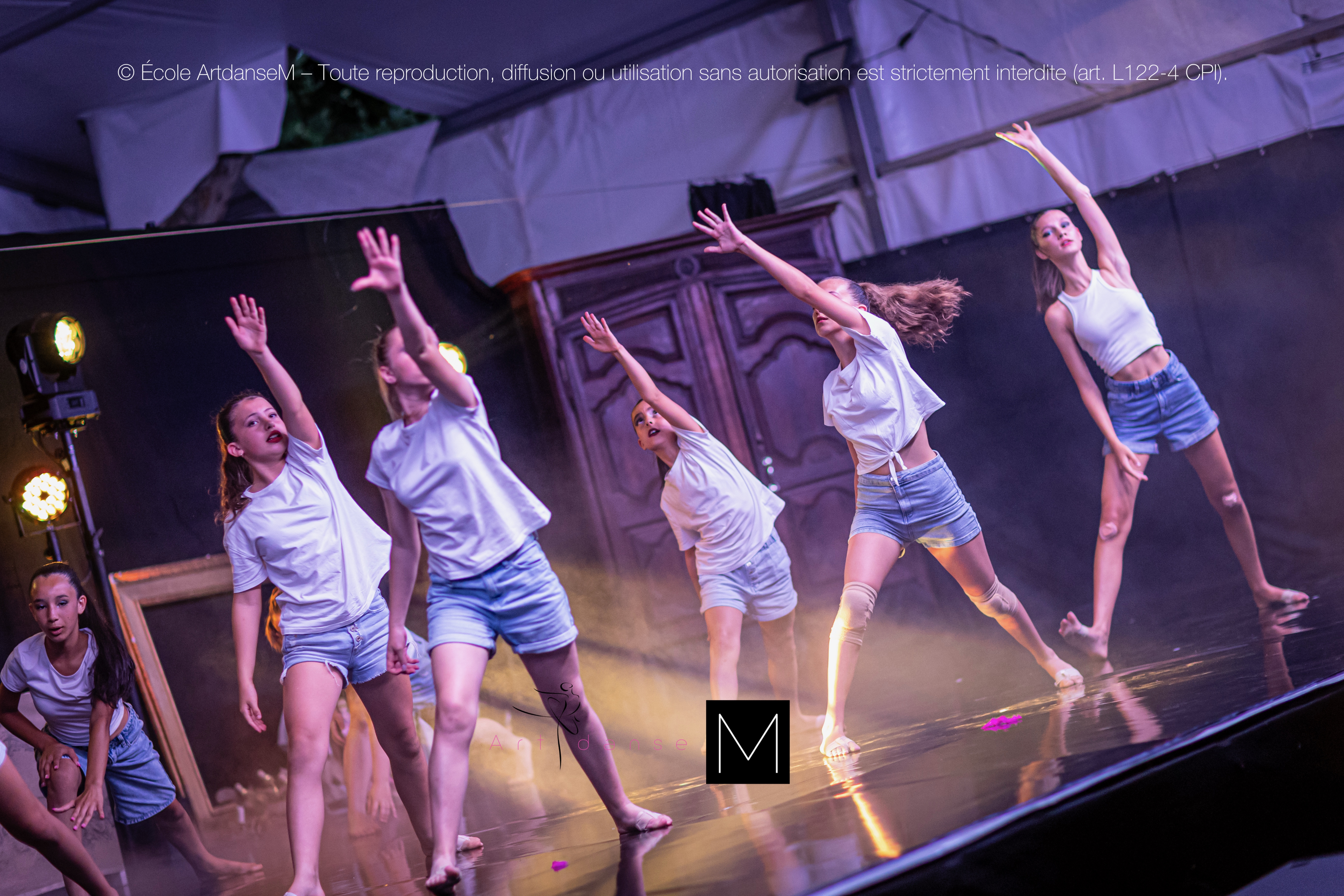 Danse ArtdanseM