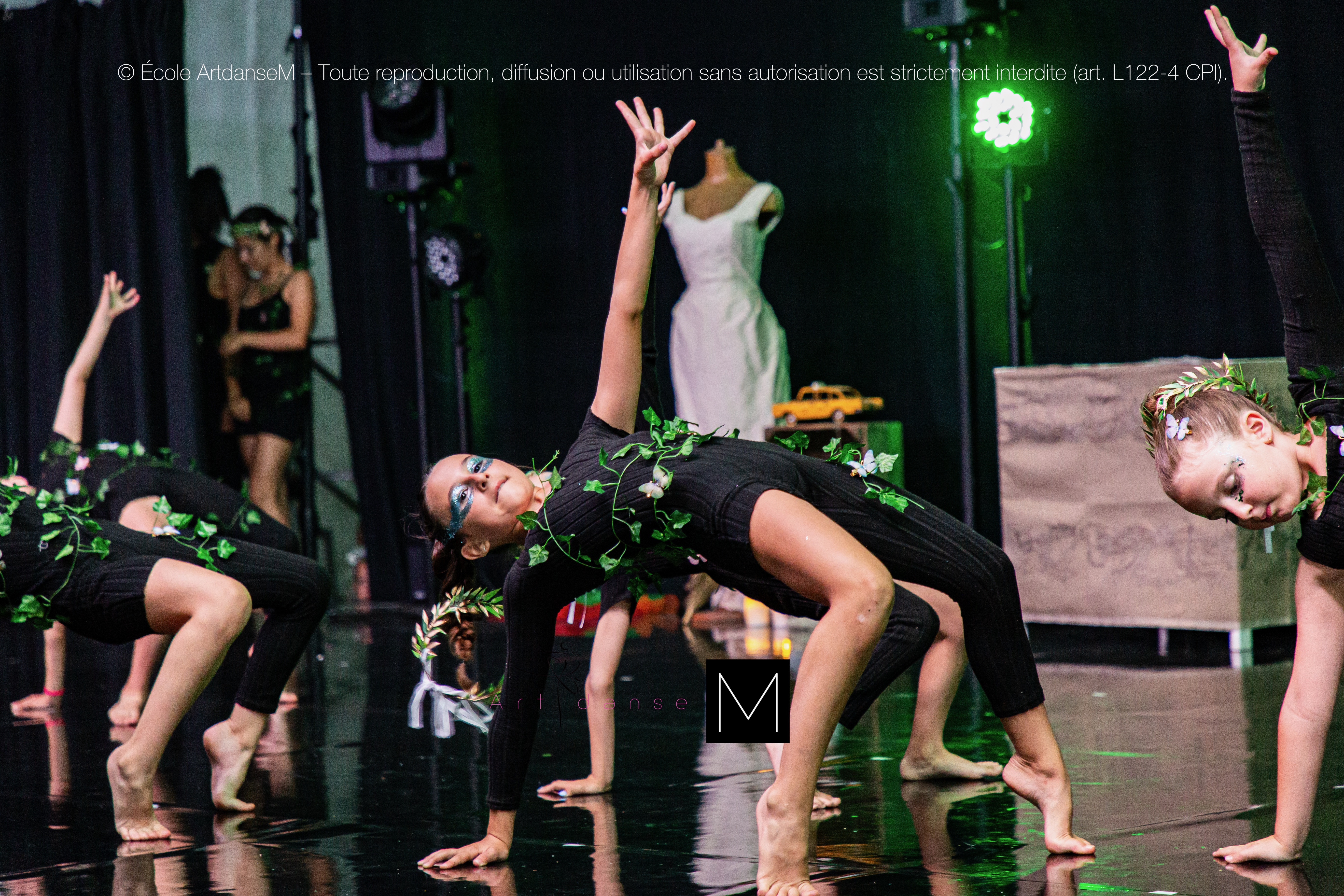 Photo de spectacle 9